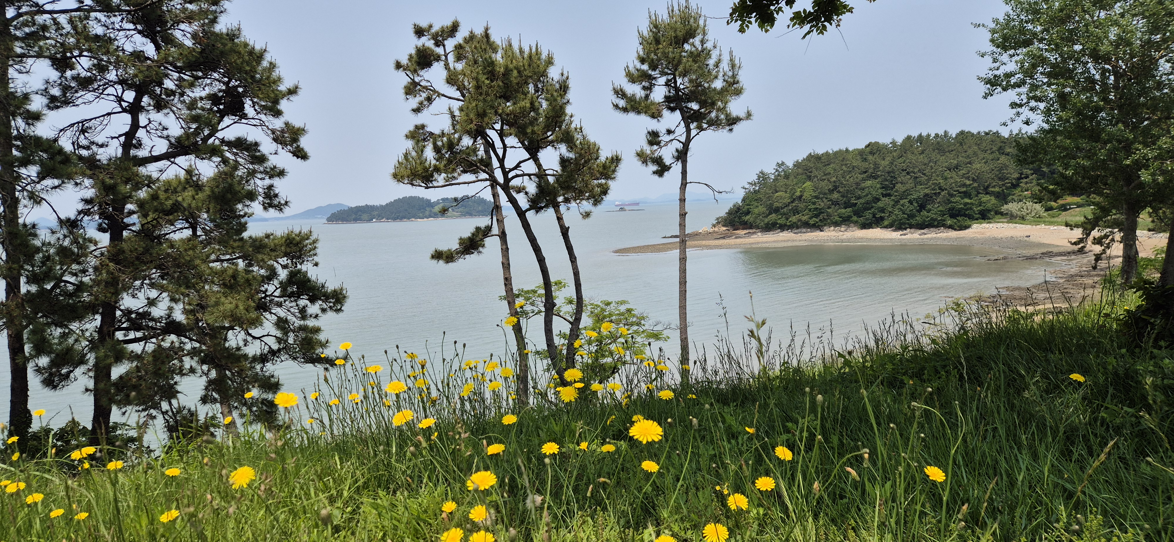 KakaoTalk_20250619_124258290_06.jpg